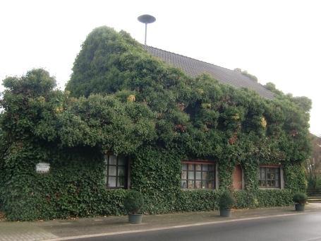 Rheurdt : Hochend